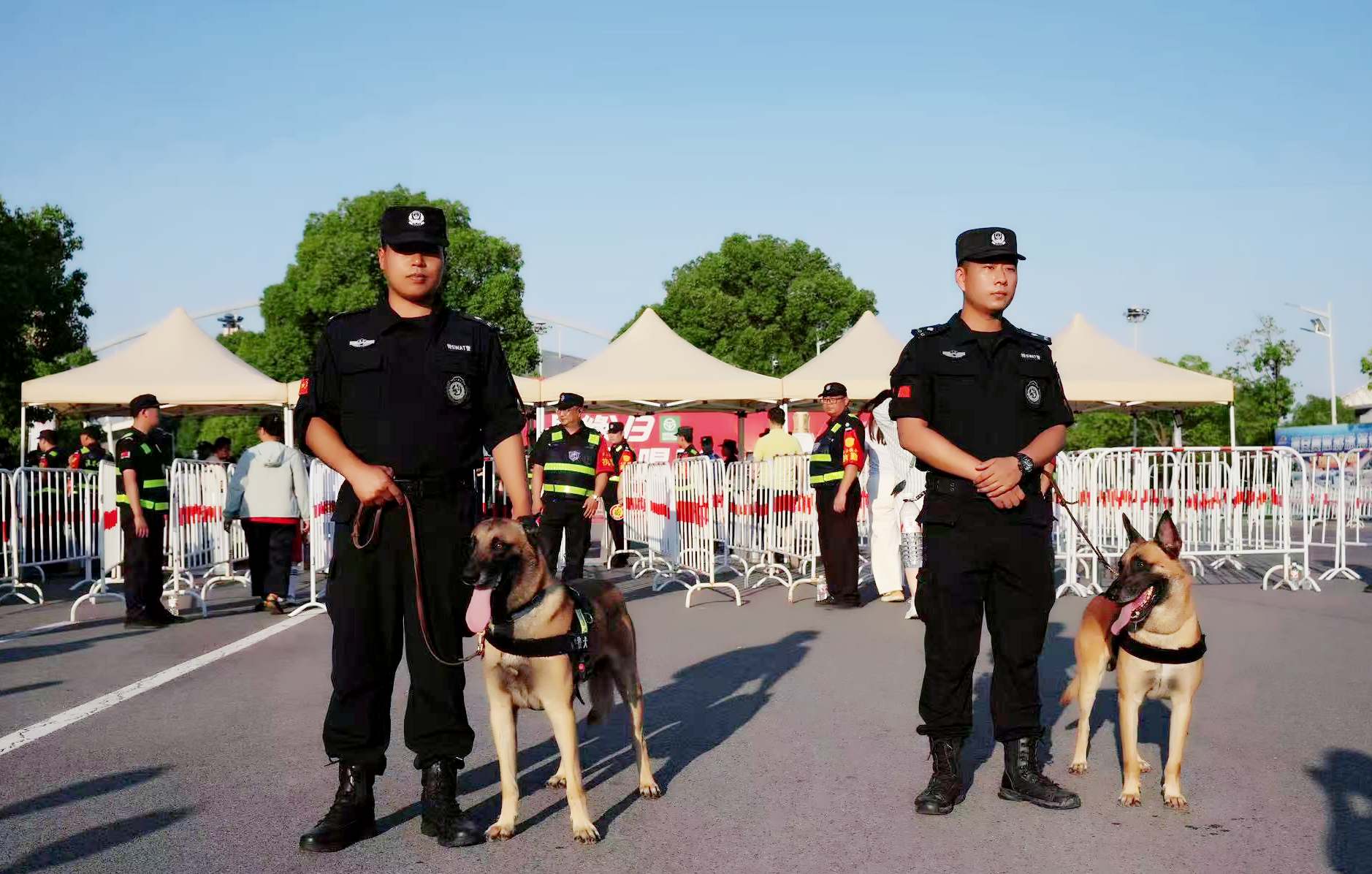 微信图片_20260629094514_753_11_副本_副本